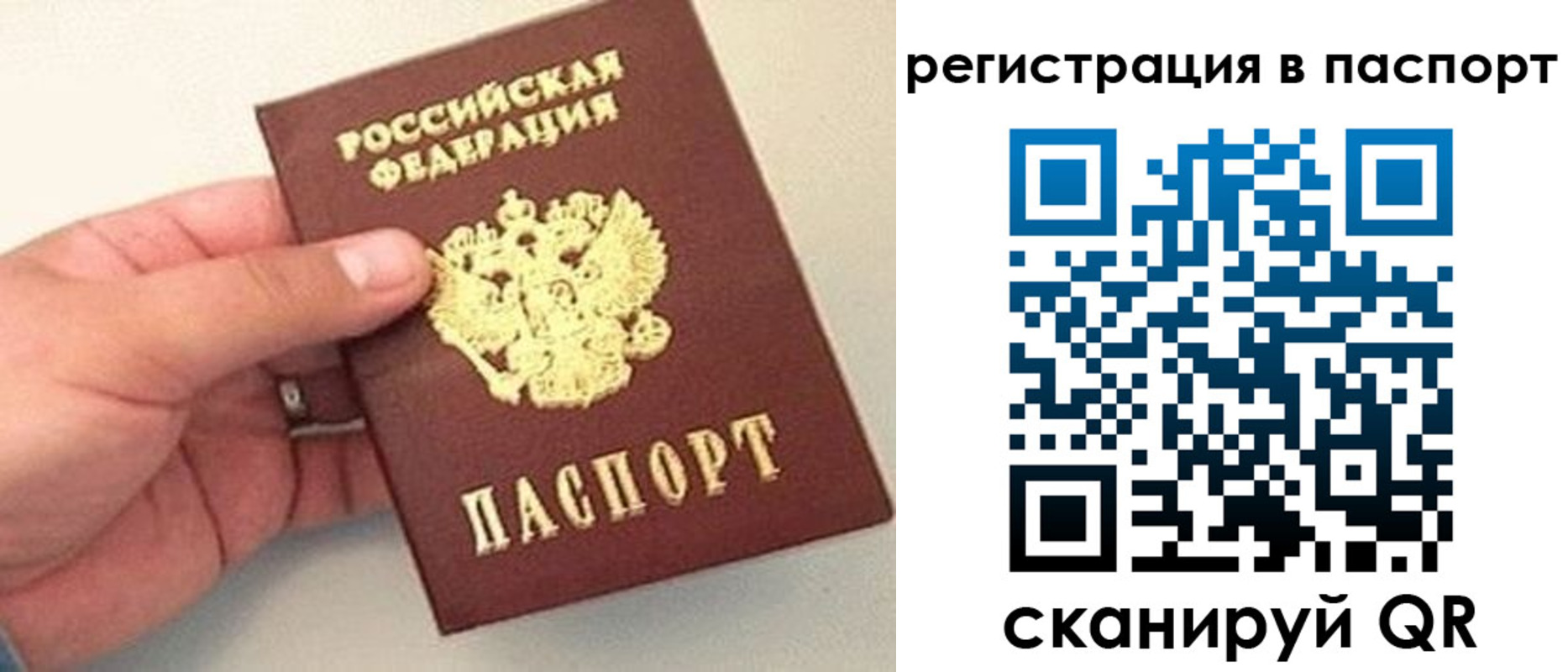 прописка законно в Межгорье